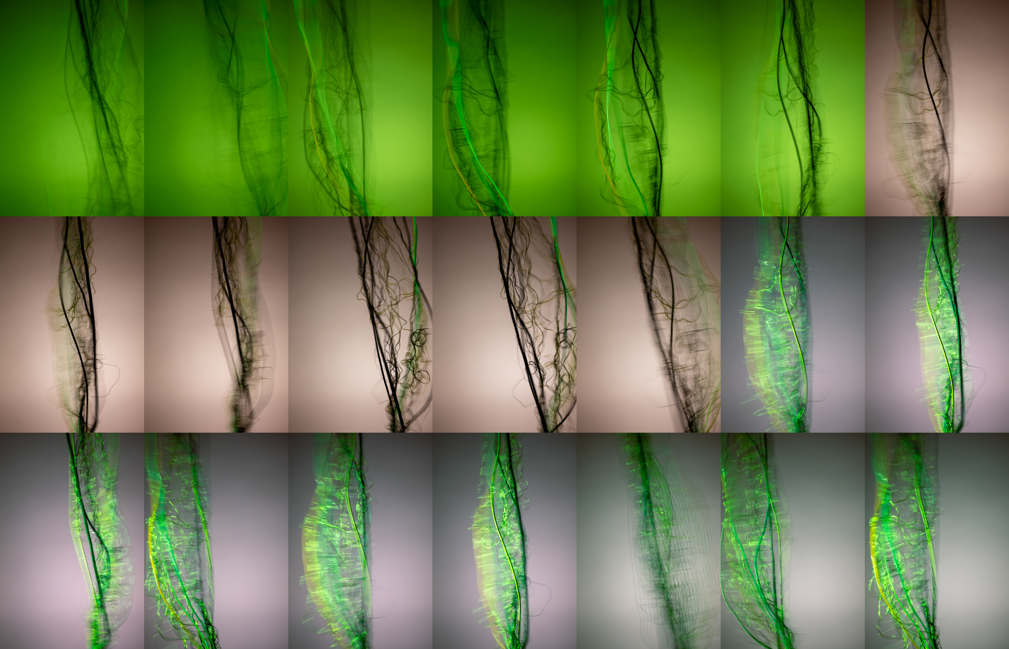 Habit Pattern, No. 15 (green)