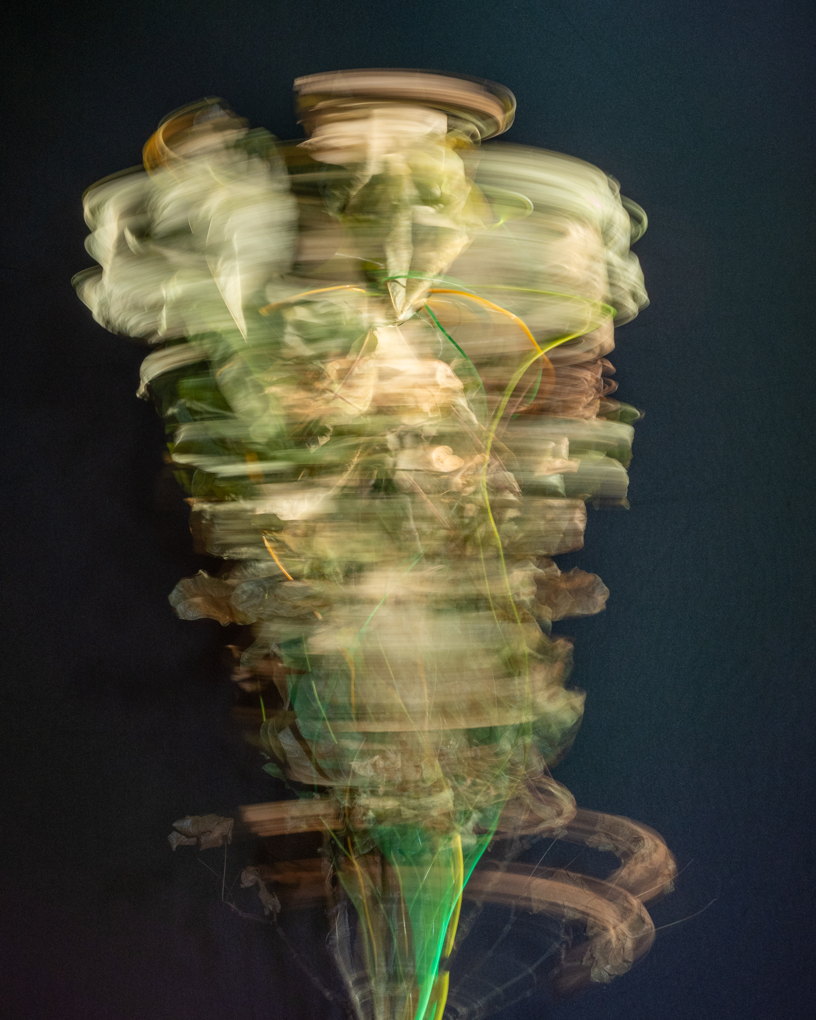 Break & Habit, No. 02, Detail 02