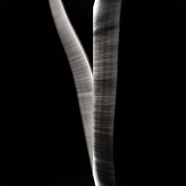 Natural Studies, No. 01