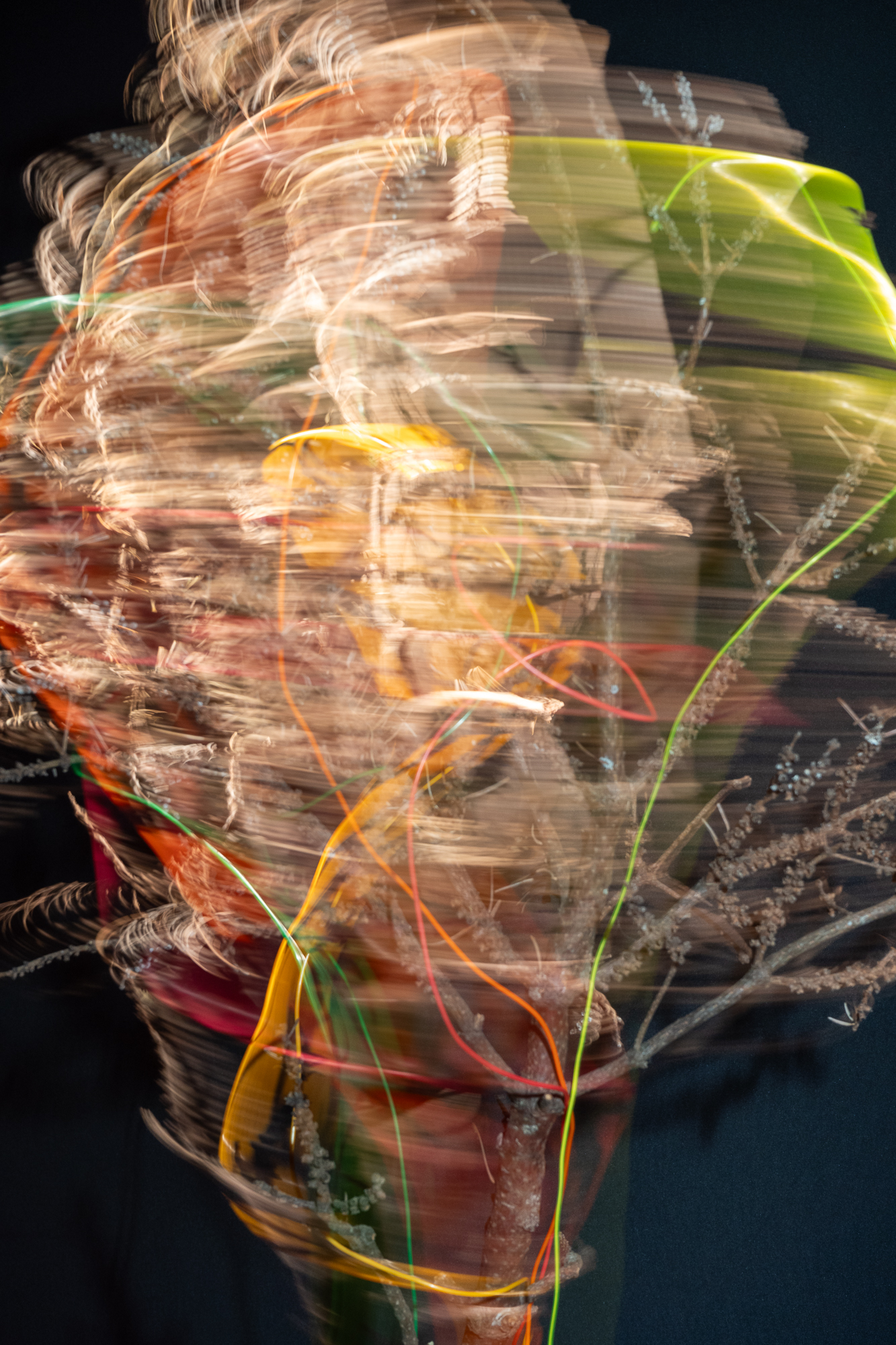 Break & Habit, No. 03-12