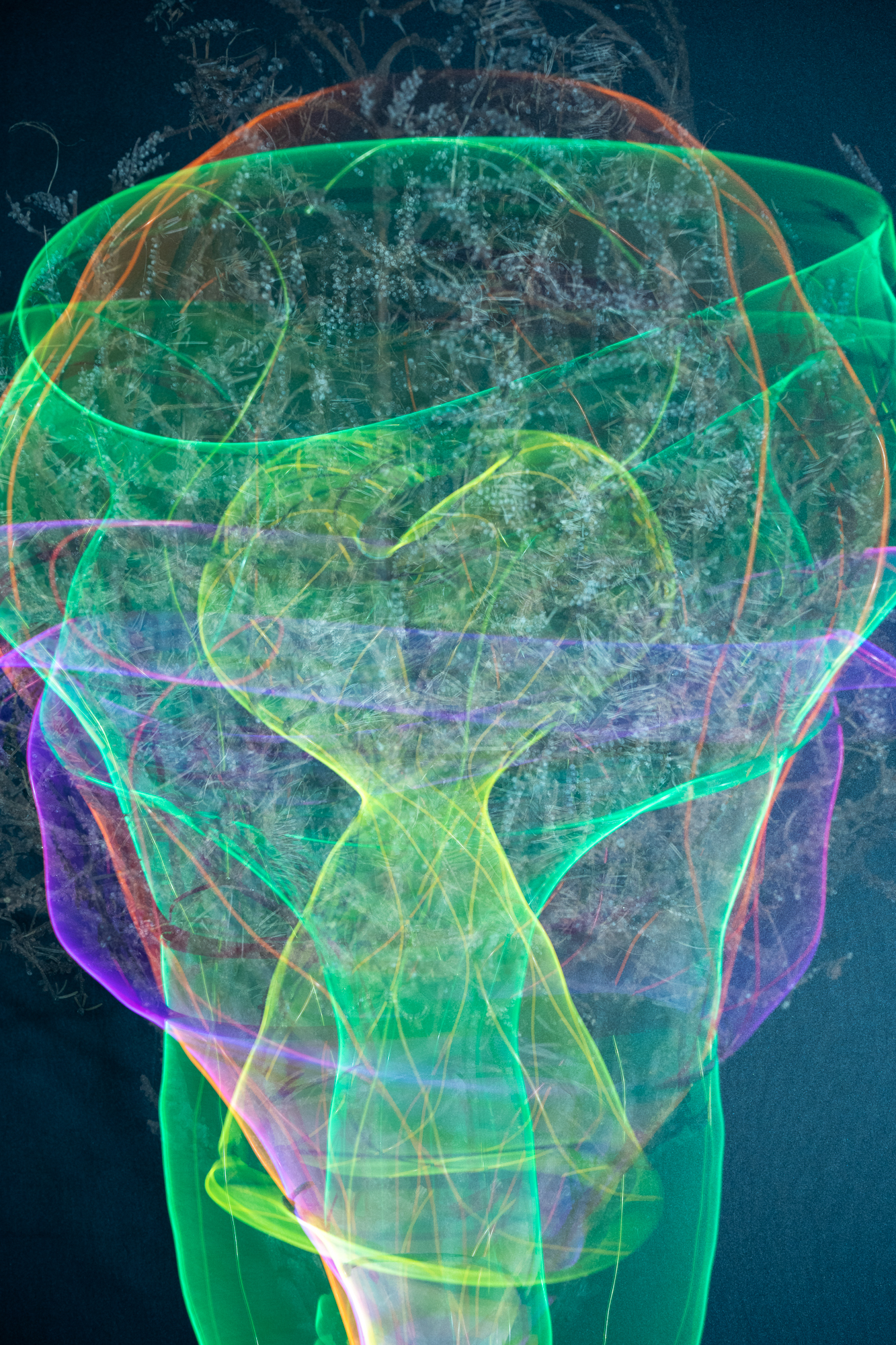 Break & Habit, No. 03, Detail 01