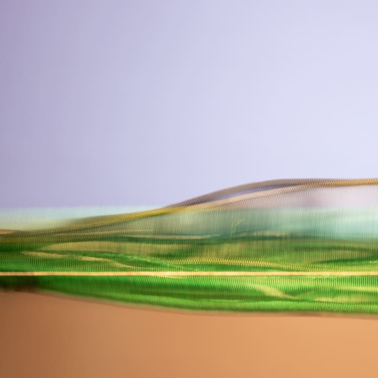 Patulous Greenspace, No. 03