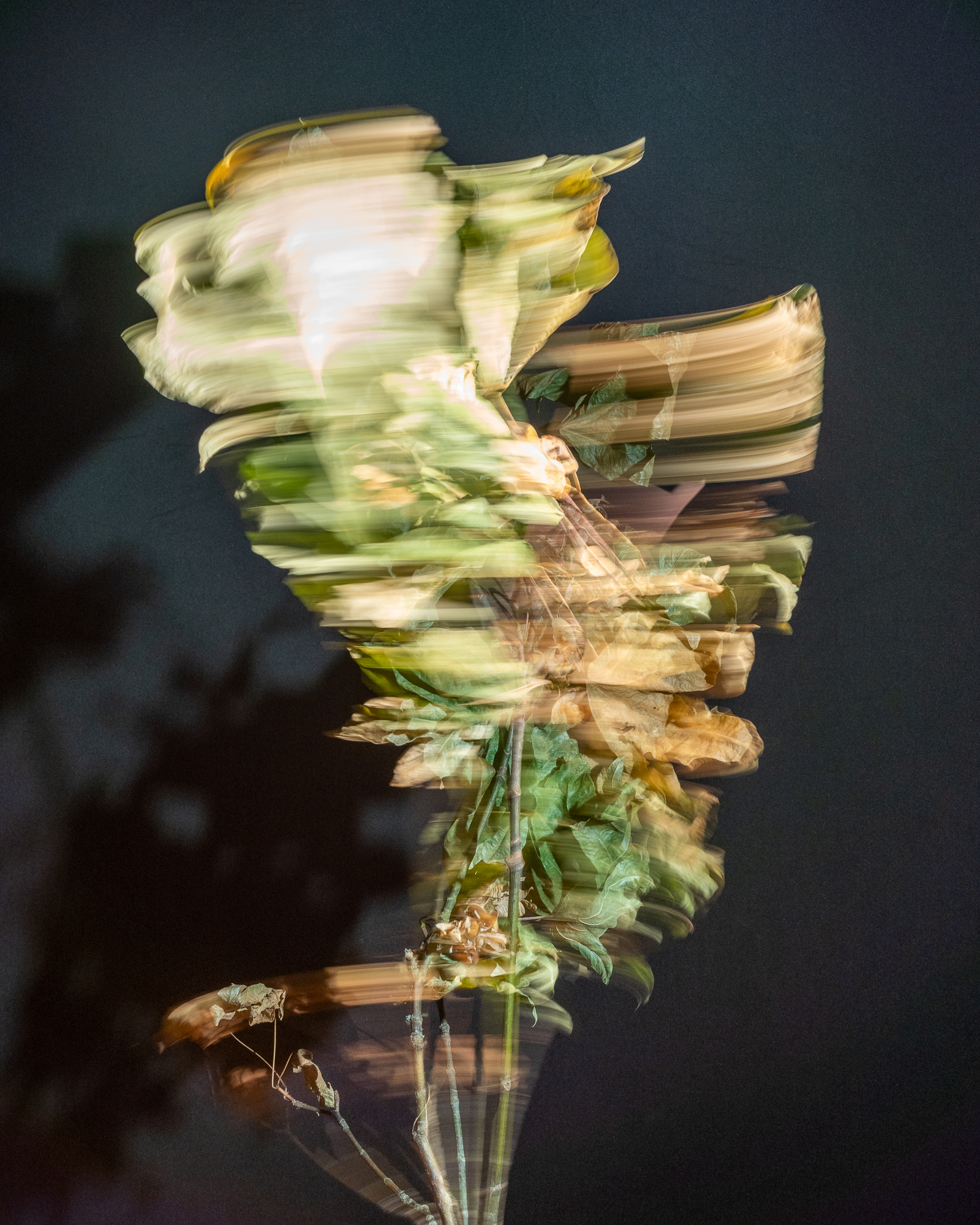 Break & Habit, No. 02, Detail 03