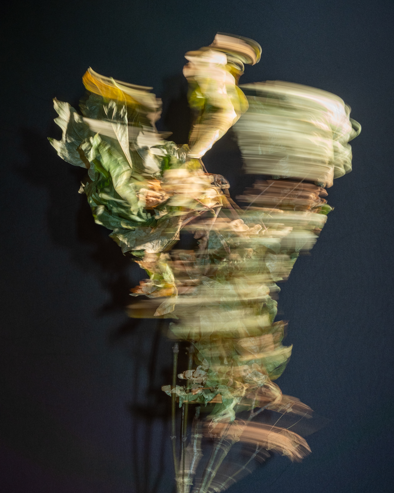 Break & Habit, No. 02, Detail 05