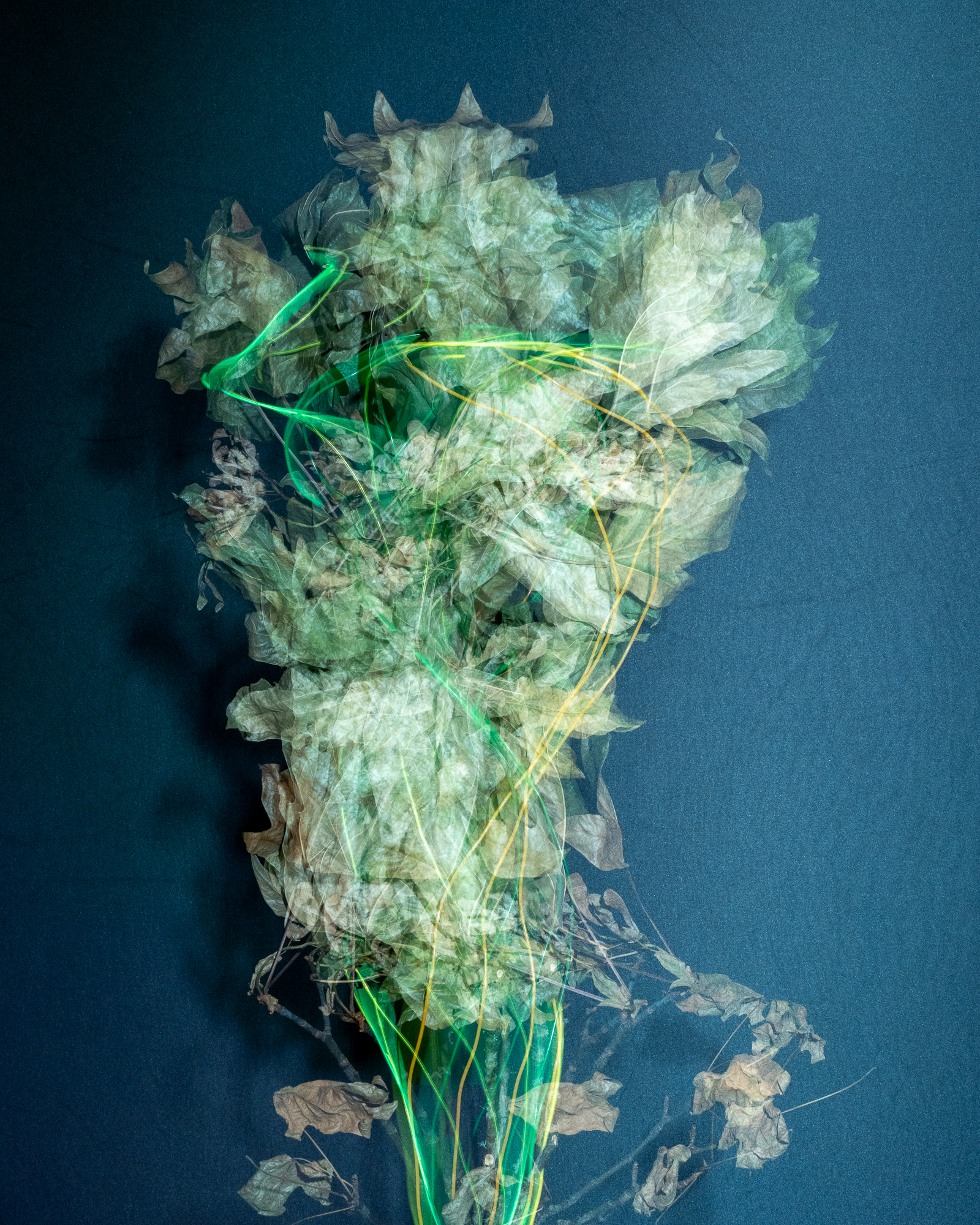 Break & Habit, No. 02, Detail 01