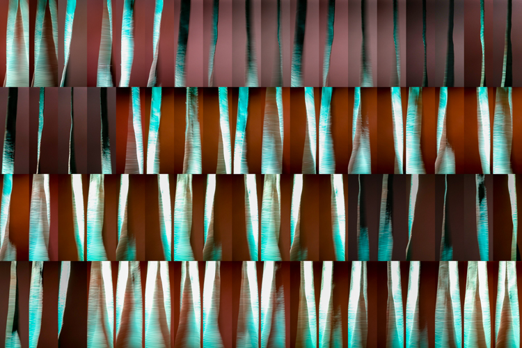 Habit Pattern, No. 08-AP