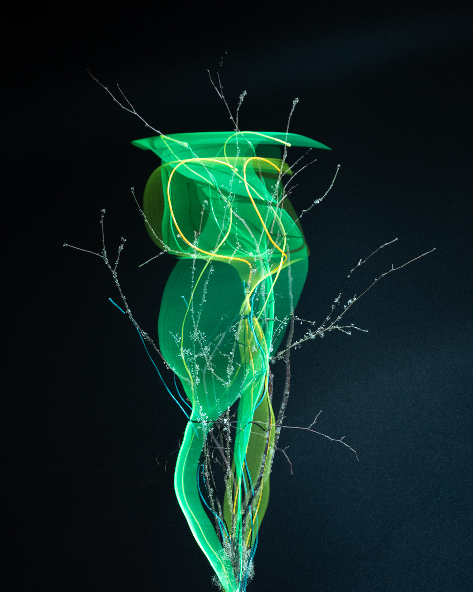 Break & Habit, No. 01, Detail 01