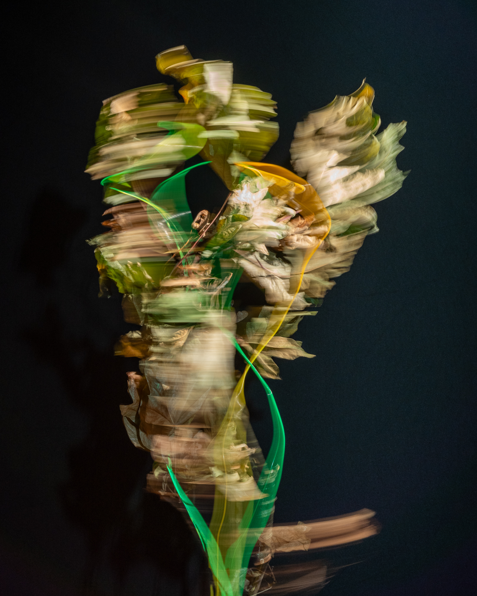 Break & Habit, No. 02, Detail 04