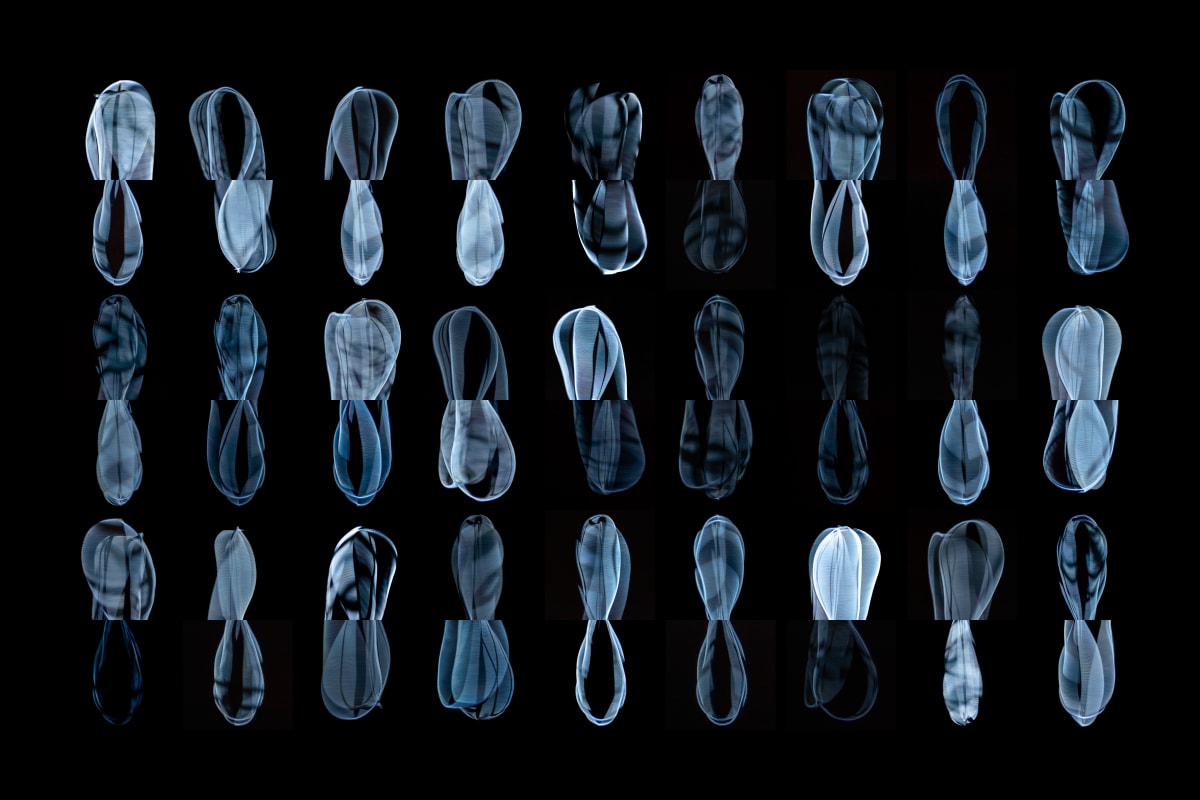 24 Blue Plafond, No. 01