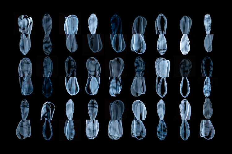 24 Blue Plafond, No. 03