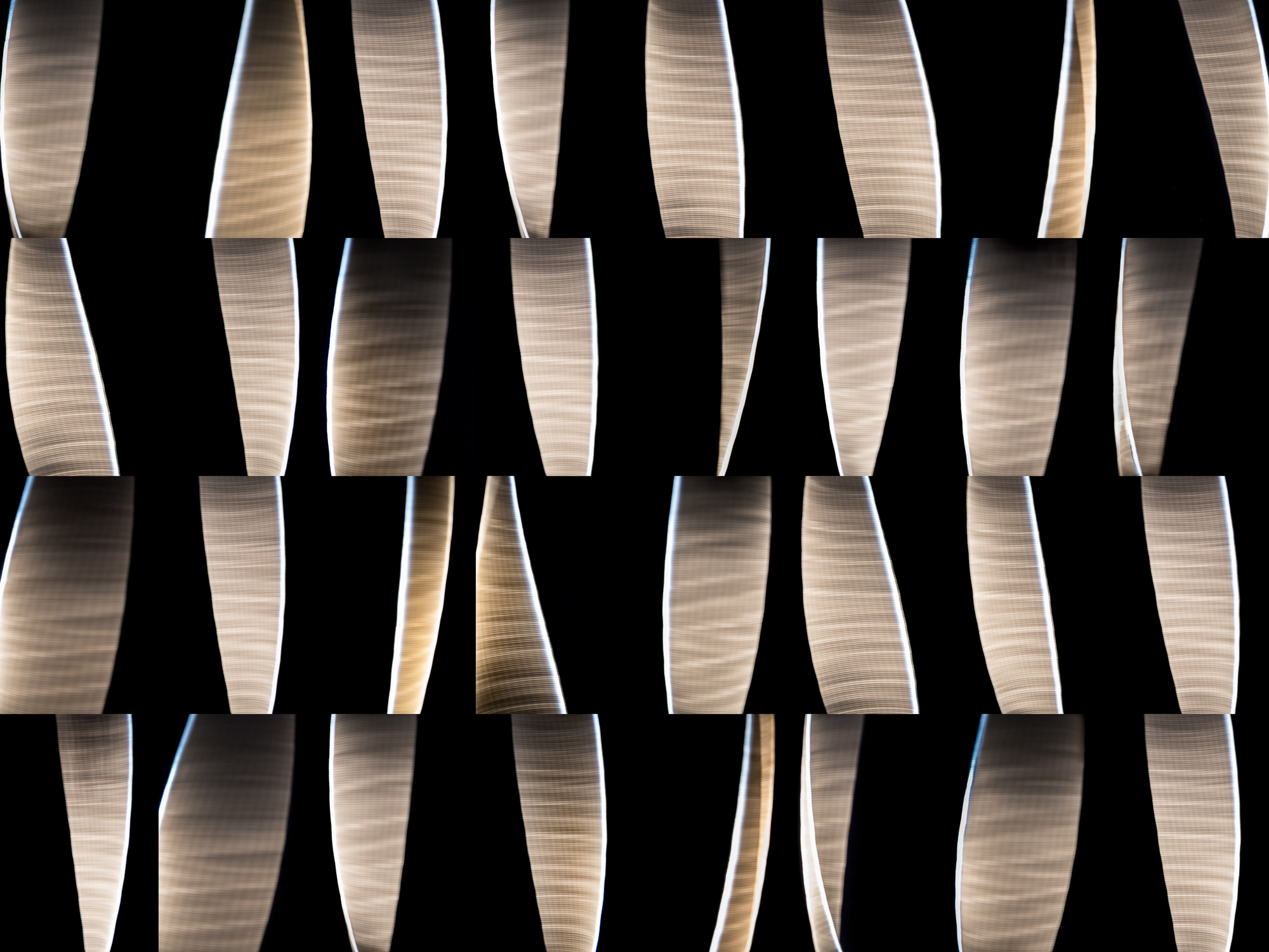 Feathers, No. 01 Version 01