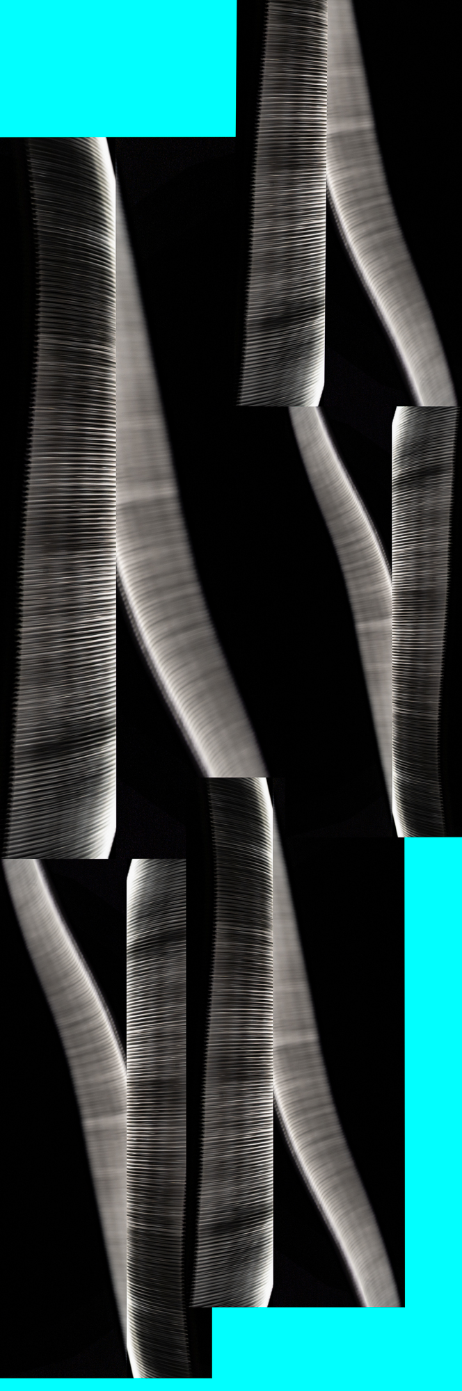 Form Type, No.09