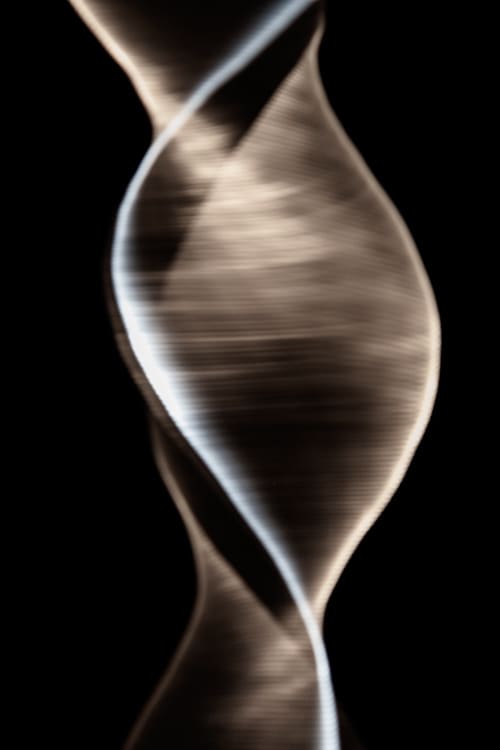 Tiny Bone, No. 17