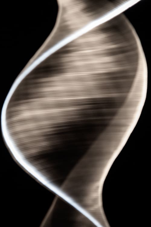 Tiny Bone, No. 04