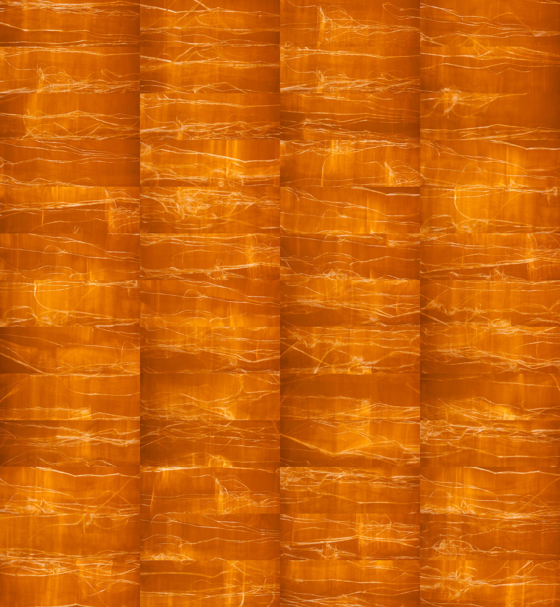 Vivis, No. 01