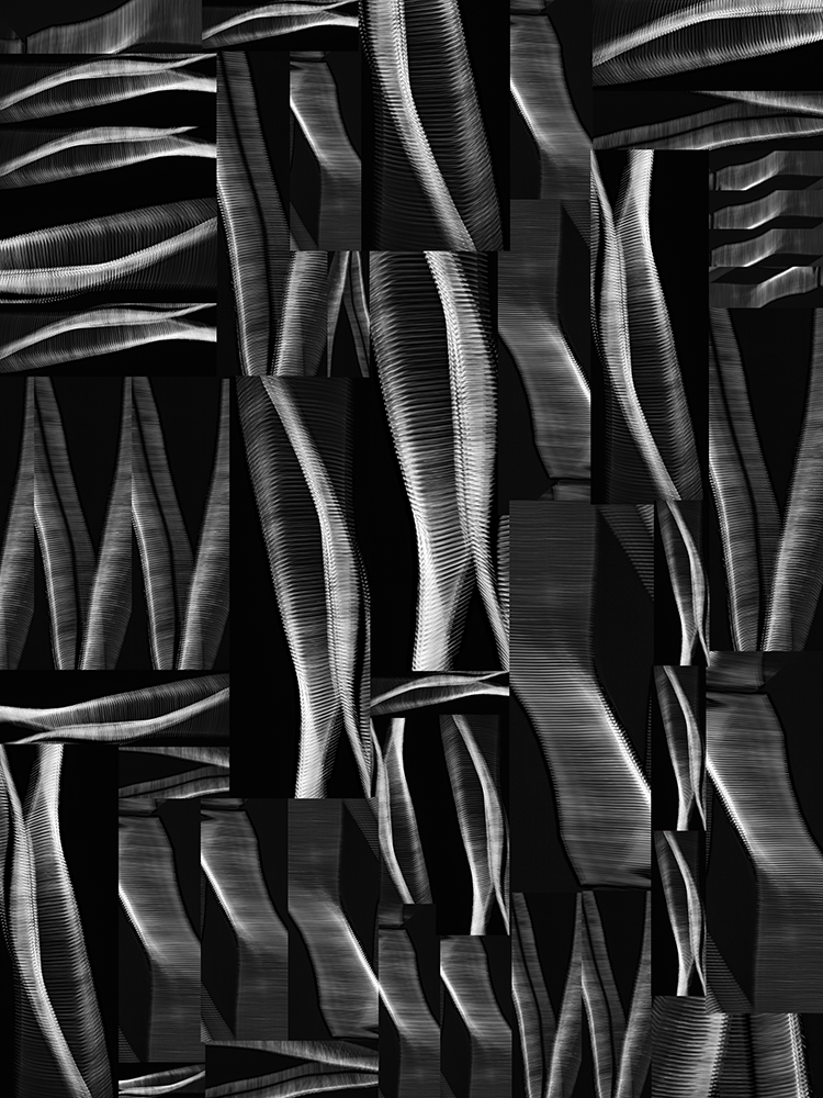 Form Type, No. 02