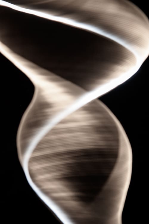 Tiny Bone, No. 12